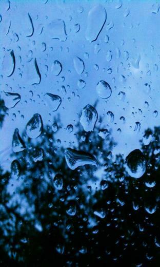 Rain Live Wallpaper Screenshot