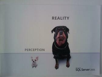 Sql Server Wallpaper Image Thecelebritypix