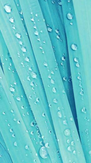 Theme Lg G3 Quad HD Type Wallpaper For N