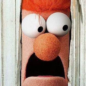 Muppets Beaker Wallpaper X52ruu5 Px Picserio