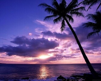 Fashion Magazine Sunset Beach Wallpaper