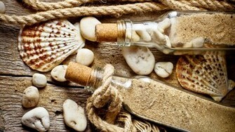 Wallpaper Beach Seashell