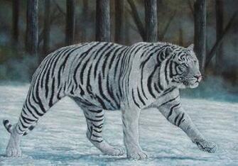 White Tiger