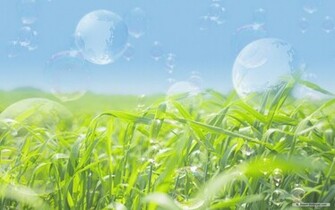 Nature Wallpaper Wonderful Green