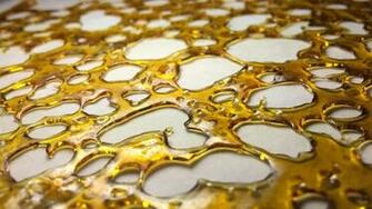 Cannabis Extract Canna Magazine