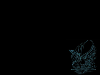 Background Collections Black Swan Background