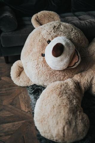 Best Teddy Bear Pictures HD Image