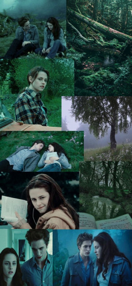 Twilight Wallpaper With Blue Tint Pictures