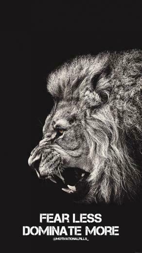 Quote Wallpaper Dark iPhone Lion