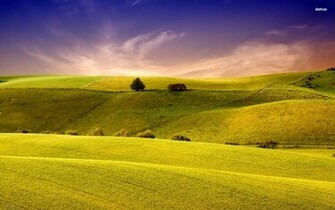 Green Summer Hills Wallpaper Nature