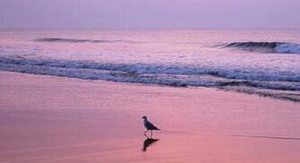 Pictures Beach And Ocean Pixels Wallpaper Tagged Blue