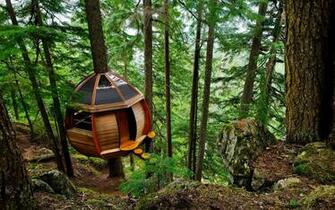 Special Tree House Wallpaper