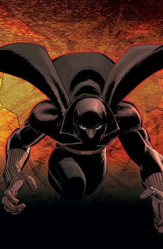 Black Panther Finally Lands On Dvd Was It Worth The Wait