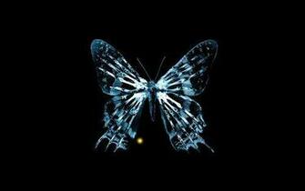 Widescreen Fringe Butterfly