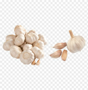 Garlic Png Image Background Toppng