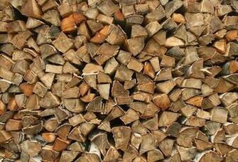 Wallpaper Birch Firewood Desktop Nature Goodwp