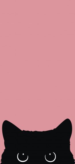 Kawaii Cute Black Cat Wallpaper Mobcup