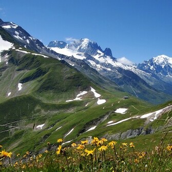 Alps Wallpaper iPad Background Best