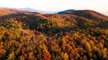 Best Fall Wallpaper HD For Desktop