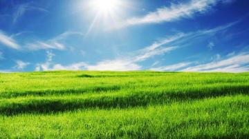 Image Result For Meadow Background