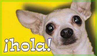 Espa Ol Hola Christian Ecards Greeting Cards