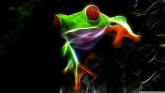 Frog Computer Wallpaper Desktop Background