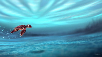Top Cool Turtle Wallpaper Full HD 4k To Use