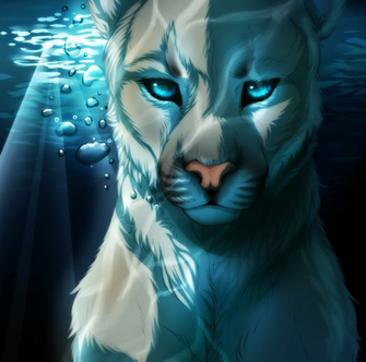 Dreamtime Image C O L HD Wallpaper And Background Photos