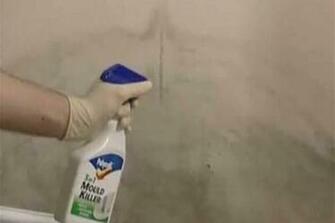 Remove Mold And Mildew From A Ceiling Ehowcouk Apps