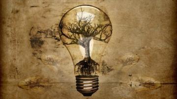 Light Bulb In Tree Roots Wallpaper