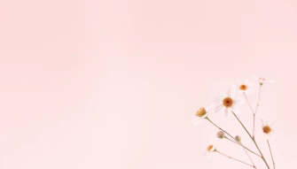 Aesthetic Flowers Simple Wallpaper
