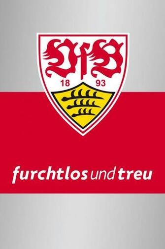 Vfb Stuttgart Leitbild Motive