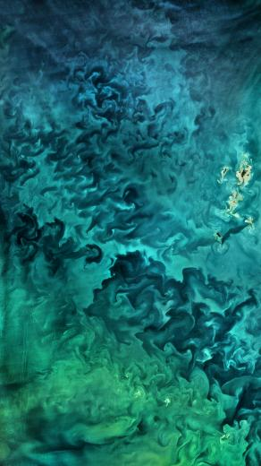 Wlppr Breathtaking Image From Above