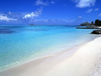 Animation Wallpaper Desktop