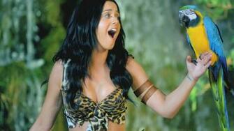 Katy Perry Tiger Roar Wallpaper Music Video HD