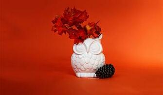 Thanks Fall Owl Wallpaper Photo Kate Net Created