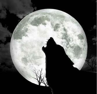 Scary Pictures Howling At The Moon