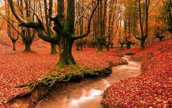 Fall Computer Wallpaper Desktop Background Id