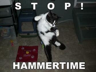 Lolcats Wallpaper Imgkid The Image Kid Has It