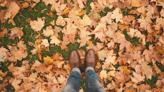 Fall Background Wallpaper