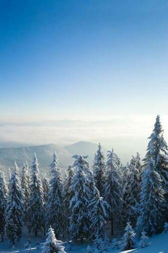 Winter iPhone Wallpaper Nature Photos Of With