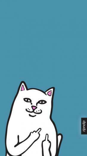 Ripndip On Rip N Dip HD Wallpaper Background