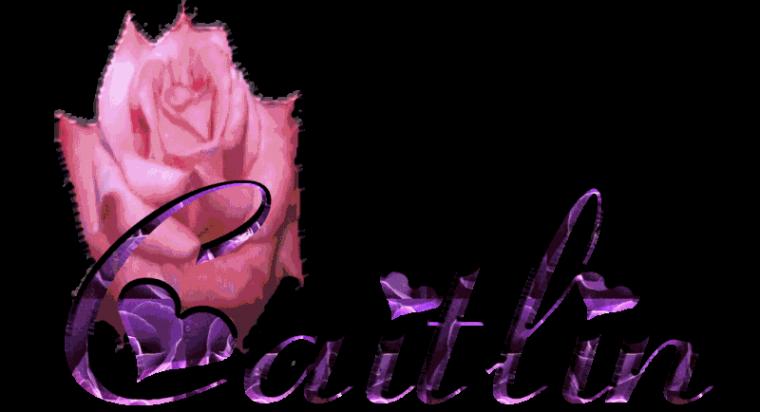 Name Glitter Wallpaper Image 1024x768jpgs 136834size Kb