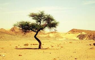 Metal Desert Big Screen Wallpaper Definition