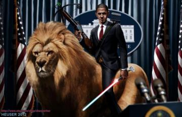 Obama Funny Political Politics Cat Lion Creative Wallpaper