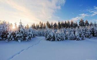 Winter Screen Background