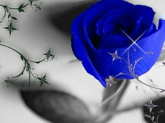 Flowers Pictures Wallpaper Red Roses