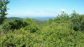 Pichet Stoddard Nh Wallpaper