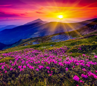 Nature S Spring Poetry Poets