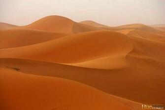 Sahara Desert At Night